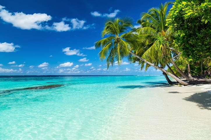 Paradiesischer Strand mit Palmen als Motiv für die Duschrückwand