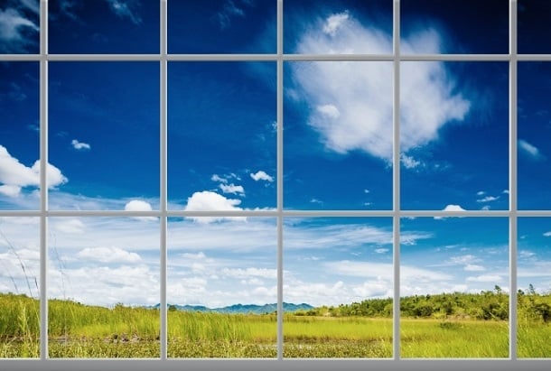 Blick durch das Fenster in die Natur