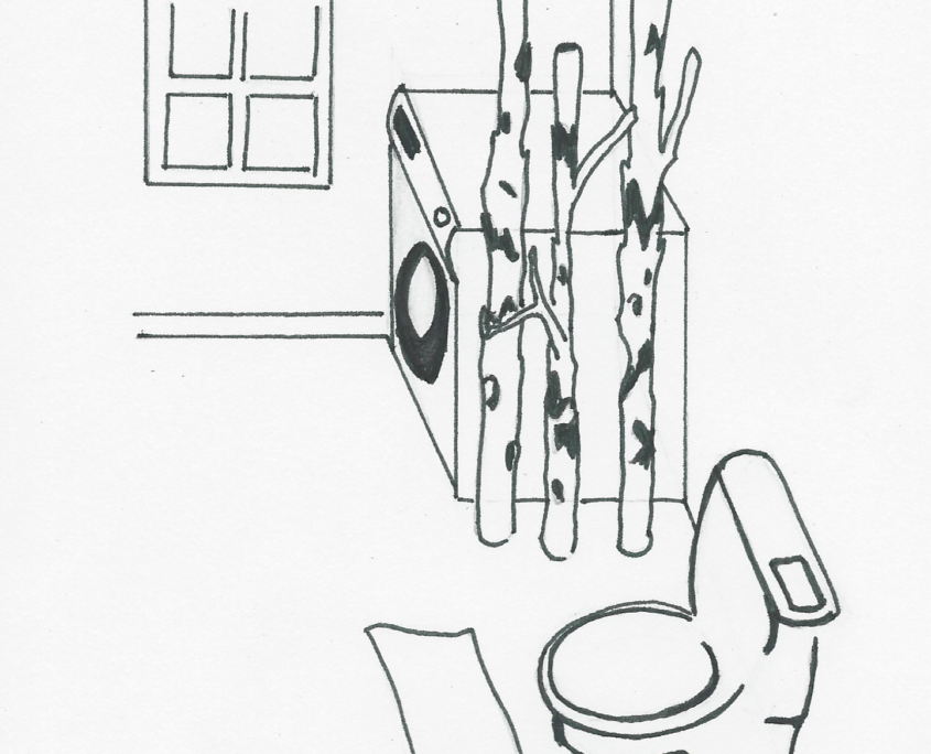 Birkenstämme im Bad