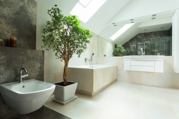 Design Badezimmer mit Baum im Topf