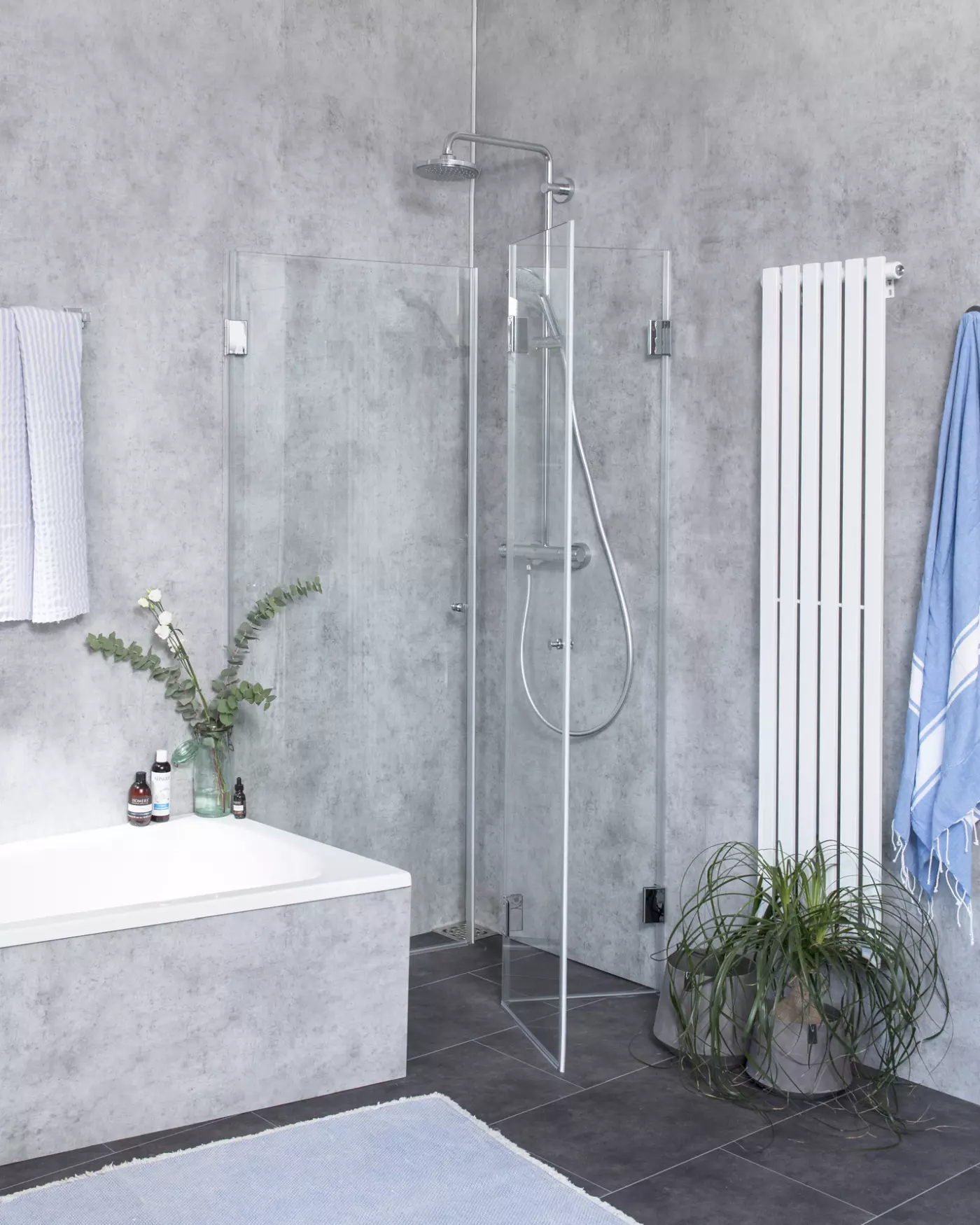 dusche, duschekabine, glaswand, badewanne, pflanze