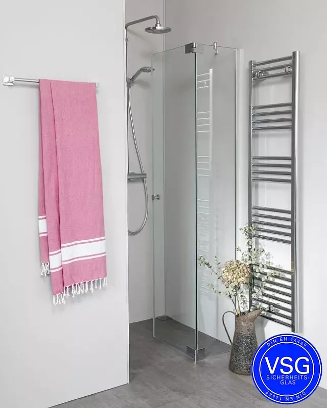 VSG Nischendusche teilgerahmt mit Pendeltür nach Maß